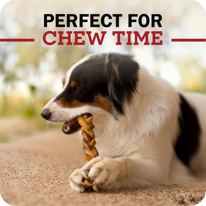 Authentic USA imported premium quality dog chews product display