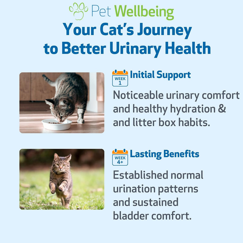 Pet Wellbeing Urinary Gold for Cats - Vet-Formulated Multi-Herb Urinary Tract Support - Feline Bladder Health & Urinary System Wellness - Holistic Cat Supplement - Liquid Formula 2 oz (59ml) - Image 9