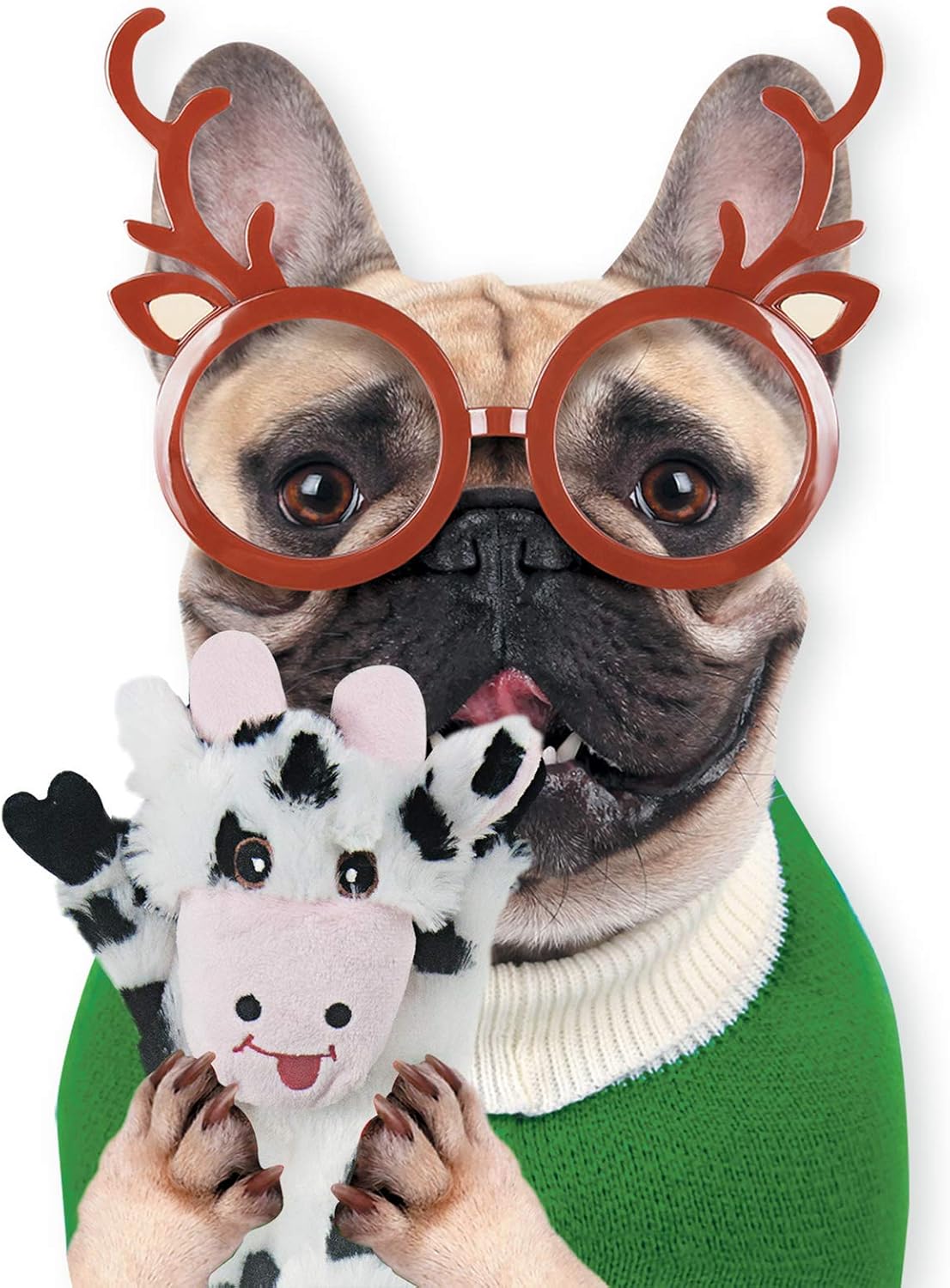 Machine washable SHARLOVY squeaker toys for medium dogs packaging view