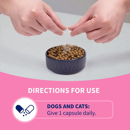 Close up of Proviable DC dog and cat probiotic container