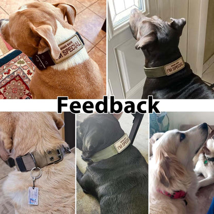 Rudra Retails imported tactical dog collar side view
