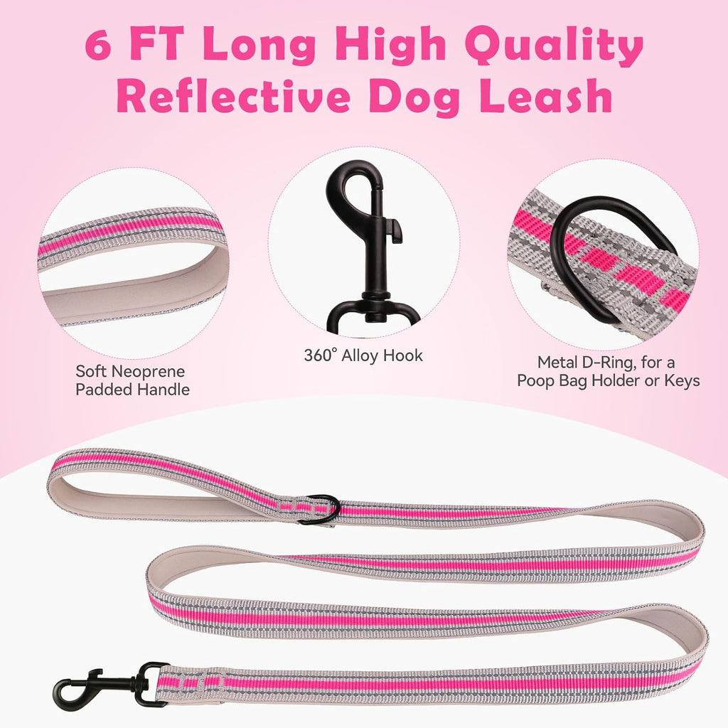 Premium nylon dog training collar and matching six foot leash set