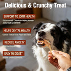 High protein USA imported chicken feet treats for dogs