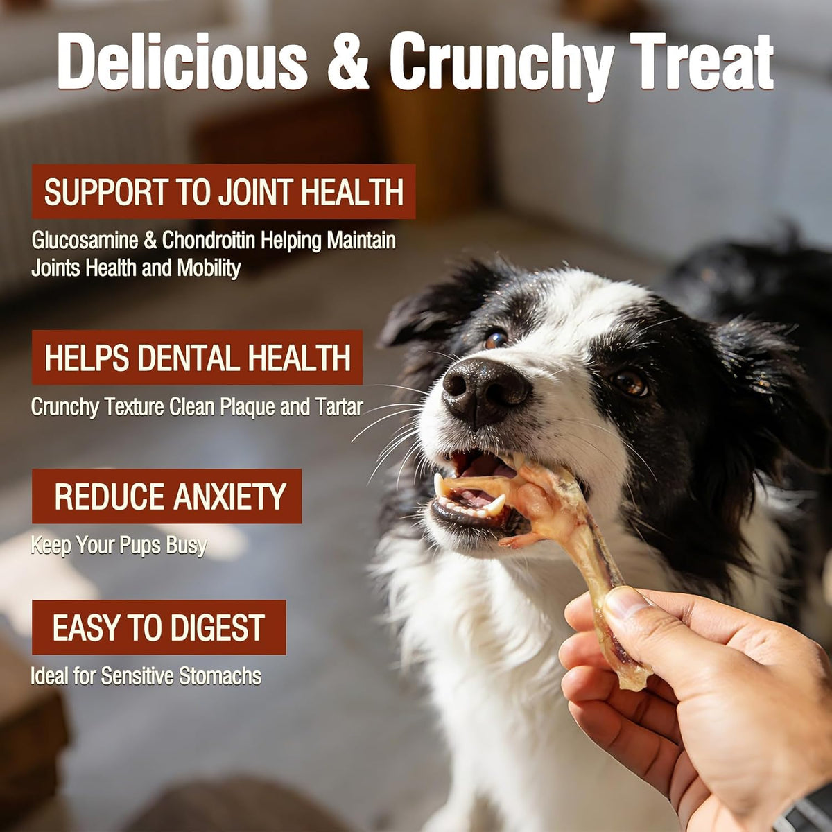 High protein USA imported chicken feet treats for dogs