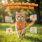 Rishav Pet Care breathable mesh pet vest with adjustable straps for secure walking