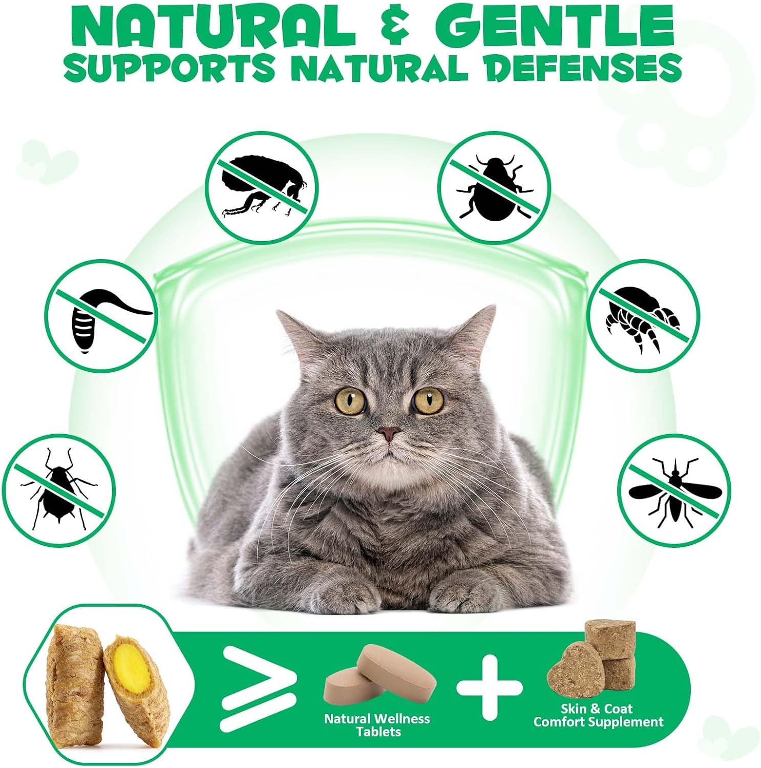 Authentic USA imported Oimmal cat supplements showing instructions for daily pet care
