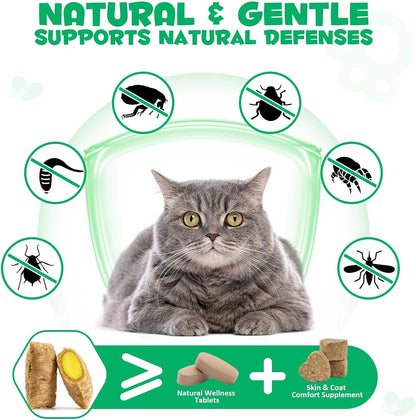 Authentic USA imported Oimmal cat supplements showing instructions for daily pet care