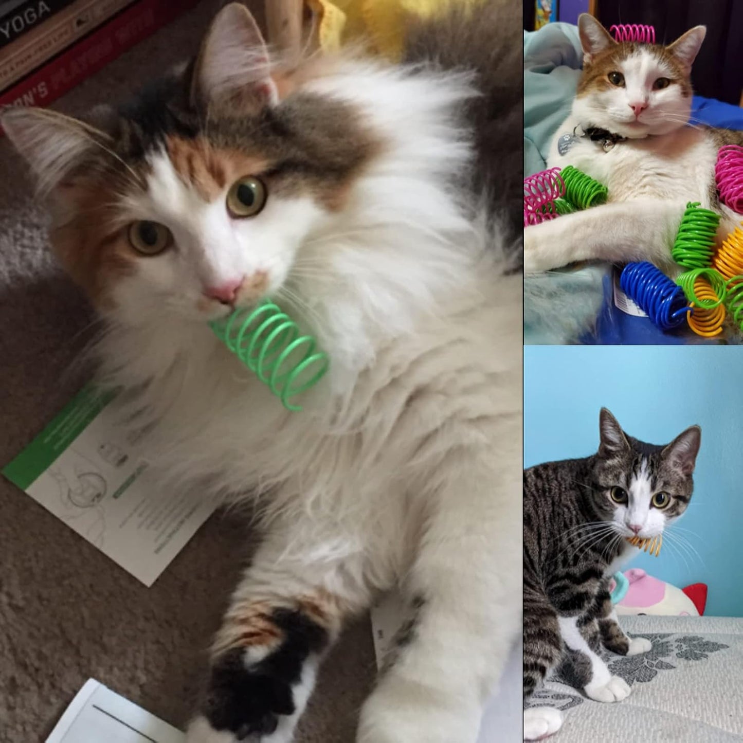 ISMARTEN flexible plastic spring toys for indoor cats lifestyle view