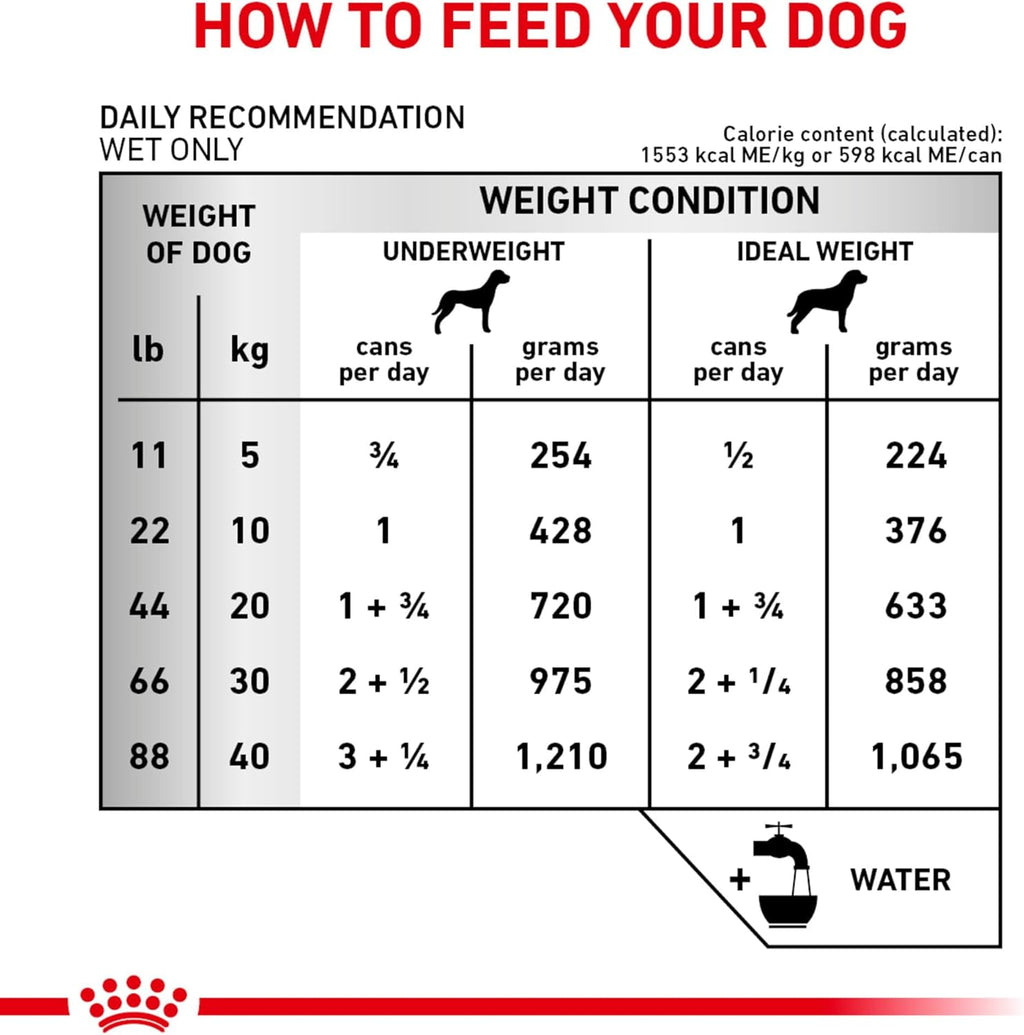 Authentic Royal Canin canine renal support prescription diet premium pet food