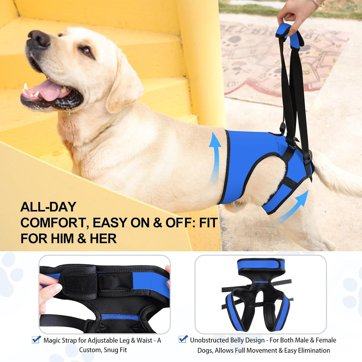 Breathable hind leg support lift harness for dogs
