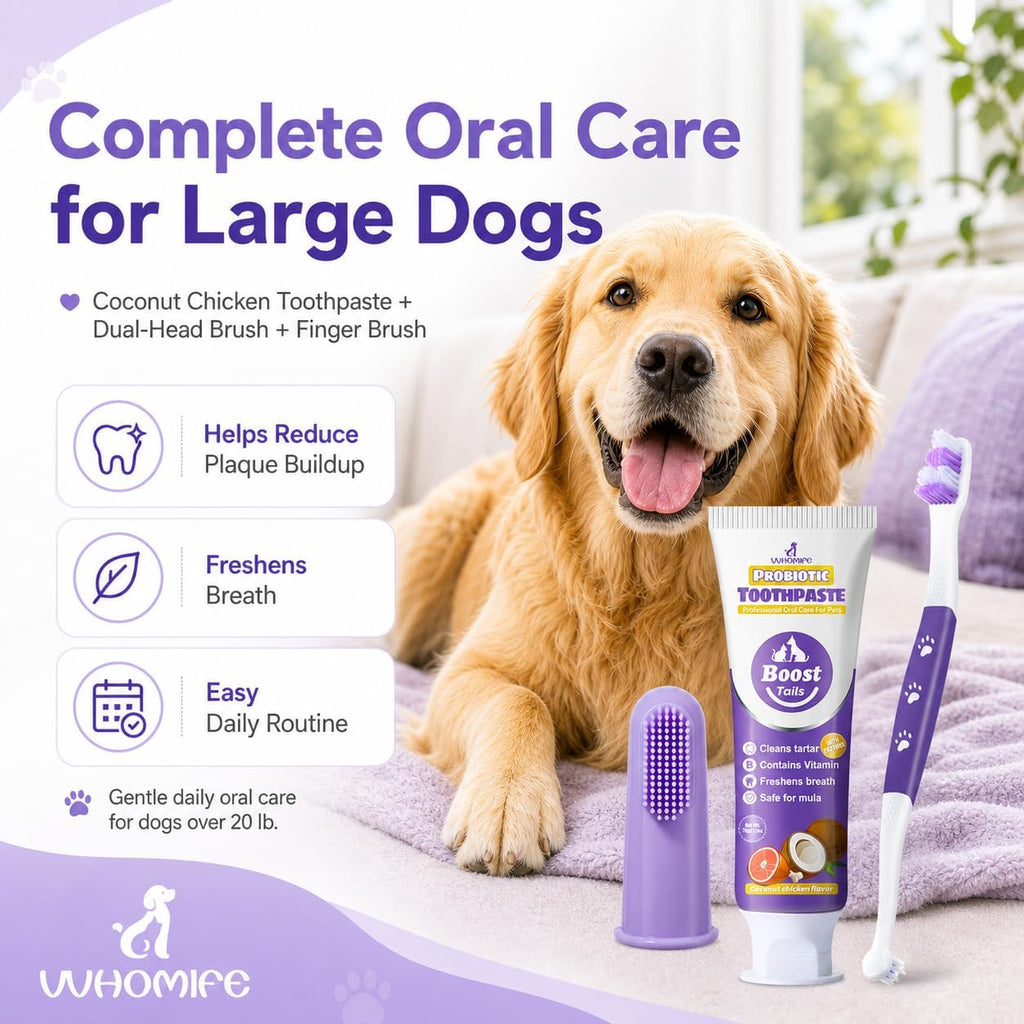 VVHOMIFE premium dog oral care kit contents laid out for medium and large canine dental routine