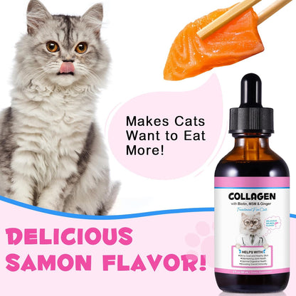 Collagen for Cats, Cat Collagen Liquid Drops for Cats with Biotin, MSM & Ginger Digestive & Immunity Support, Itch Relief, Skin & Coat and Joint Health, Cat Supplement 60ml - Image 9