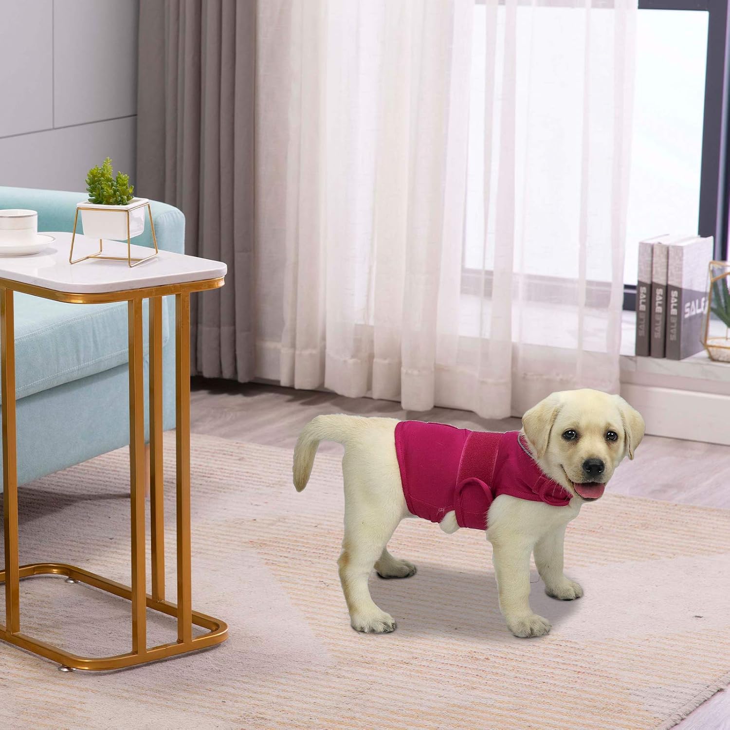 Premium viscose blend dog calming jacket for festive fireworks and vet visits