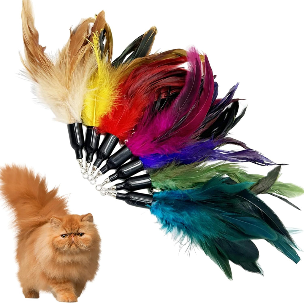 CATENEED cat toy replacements arranged flat showing the variety of sixteen pieces.