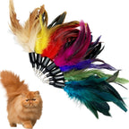 CATENEED cat toy replacements arranged flat showing the variety of sixteen pieces.