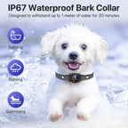 Ricivi waterproof dog collar for small dog training