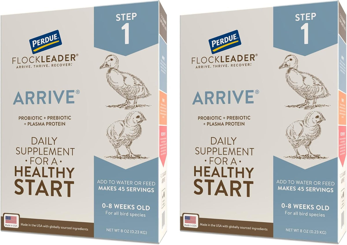 FlockLeader Arrive, Daily Probiotic & Prebiotic Poultry Supplement for Young Chickens 0-8 Weeks Old, 8 oz - Image 9