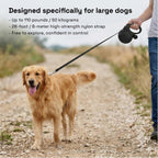 Side view of TailyWags black retractable dog leash