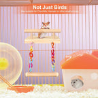 Multi-tier small animal exercise stand with colorful hanging chains