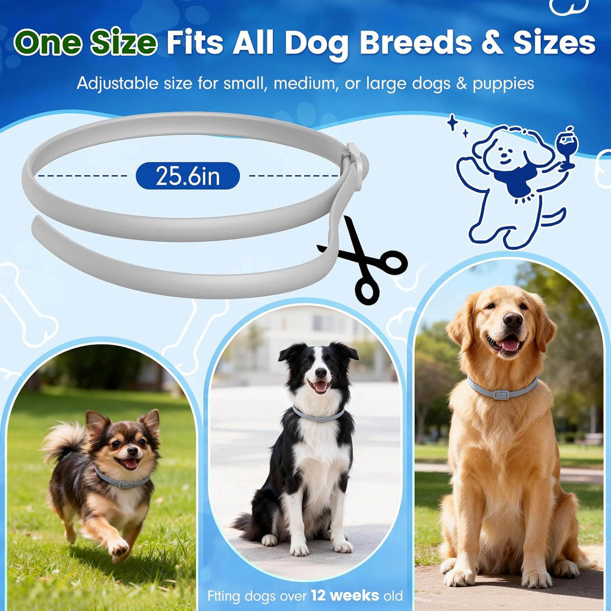 Natural ingredient flea collar for canine health
