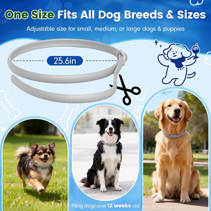 Natural ingredient flea collar for canine health