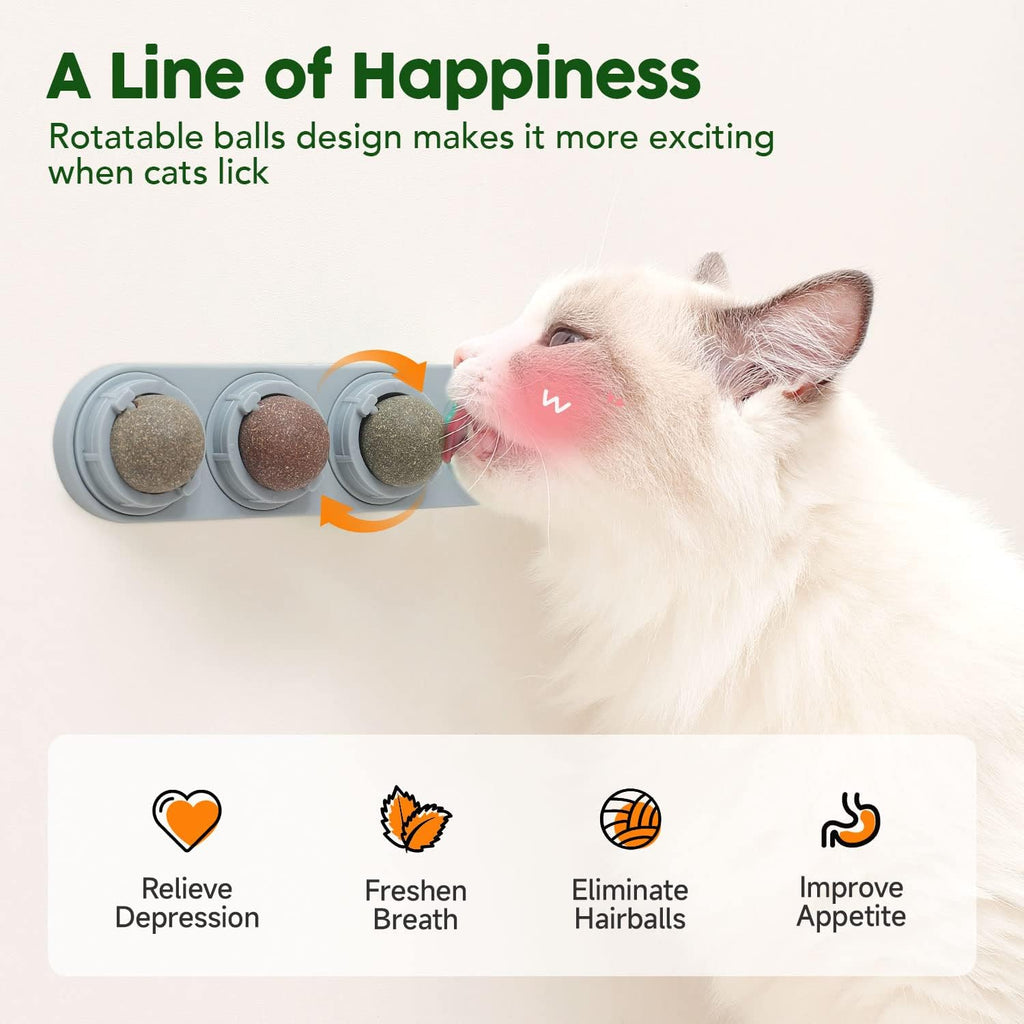 Cat interacting with Potaroma wall mounted catnip toy