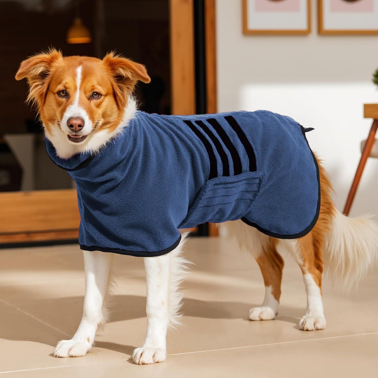 HezzLuv microfibre dog bathrobe drying coat on a dog