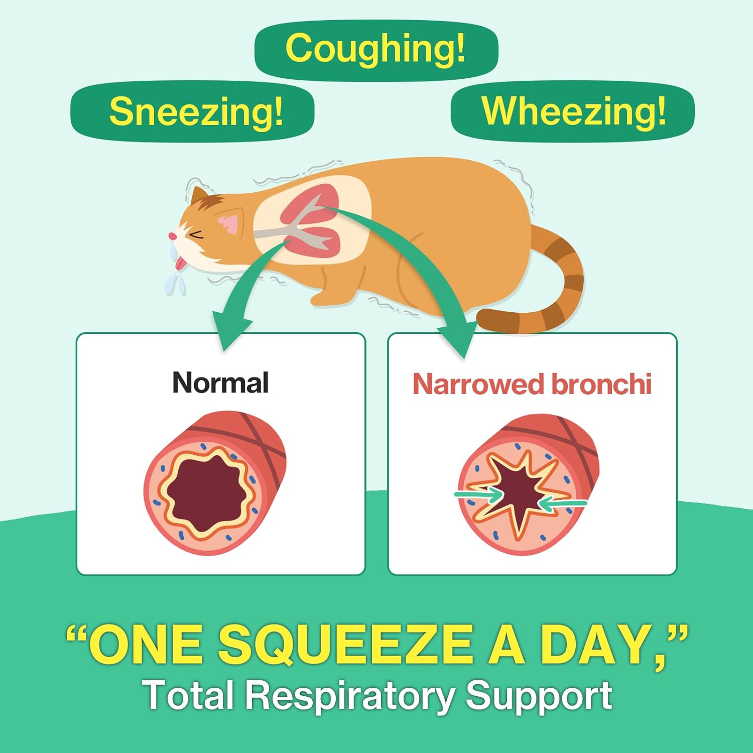 Doctor By feline sneezing and asthma treatment lickable formula single sachet closeup