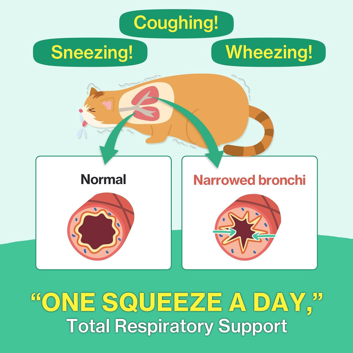 Doctor By feline sneezing and asthma treatment lickable formula single sachet closeup