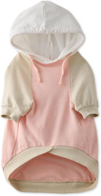 Pet Passion Rocky - The Original Lightweight Hooded Tee 100% Organic Cotton Dog Hoodie Pet Coat Sweater for All Sized Dogs, Spooky, Small (10-25 lbs) - Image 9