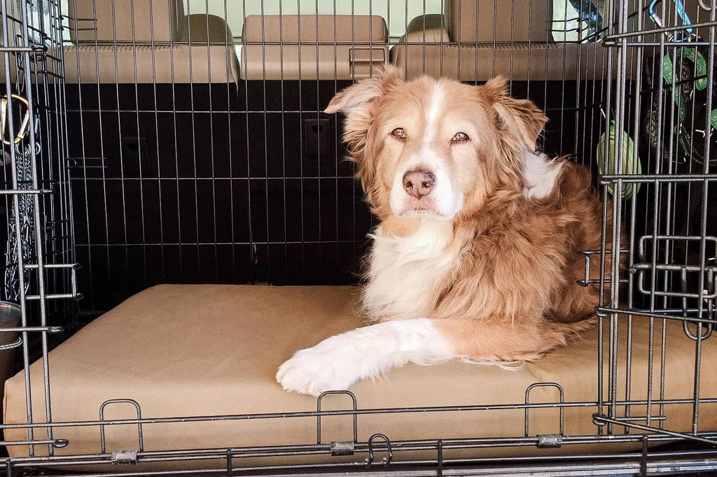 Big Barker large dog mattress inside wire crate for joint support