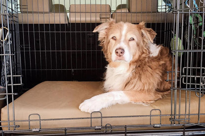 Side profile of Big Barker orthopedic dog mattress