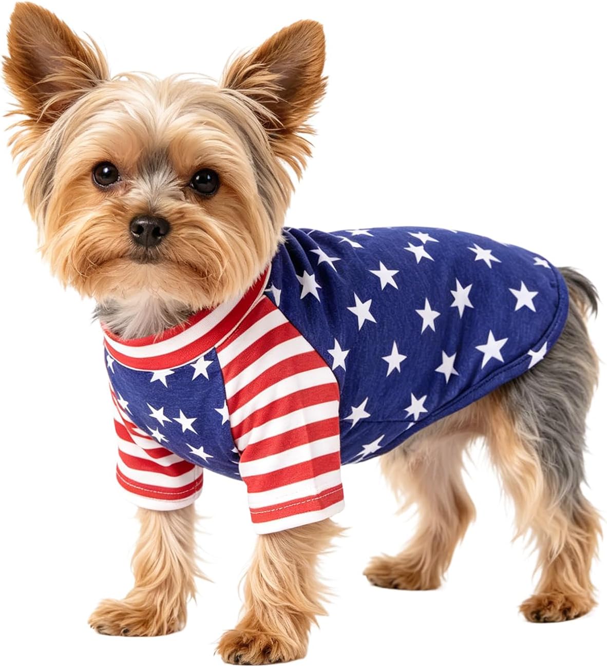 Pistha USA flag dog shirt front view on a pet