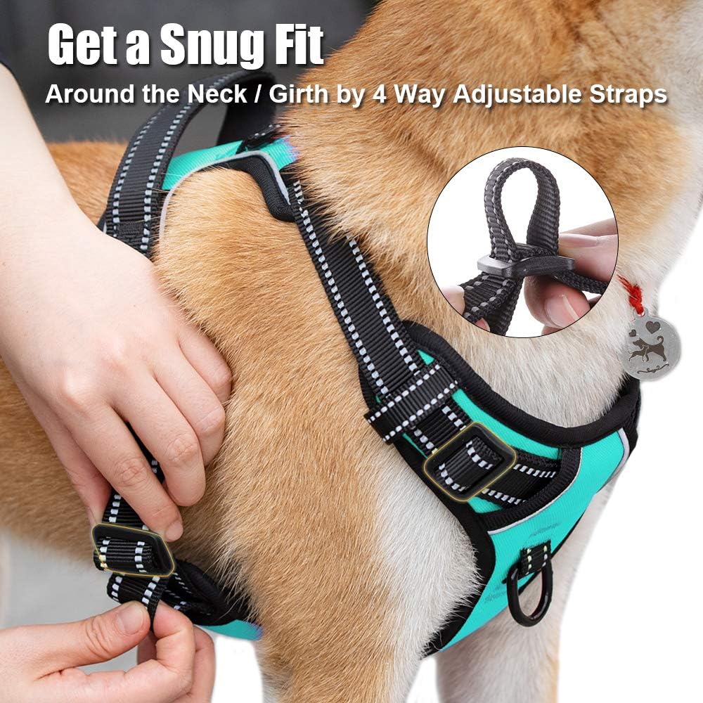 Poypet harness front and back leash attachment points