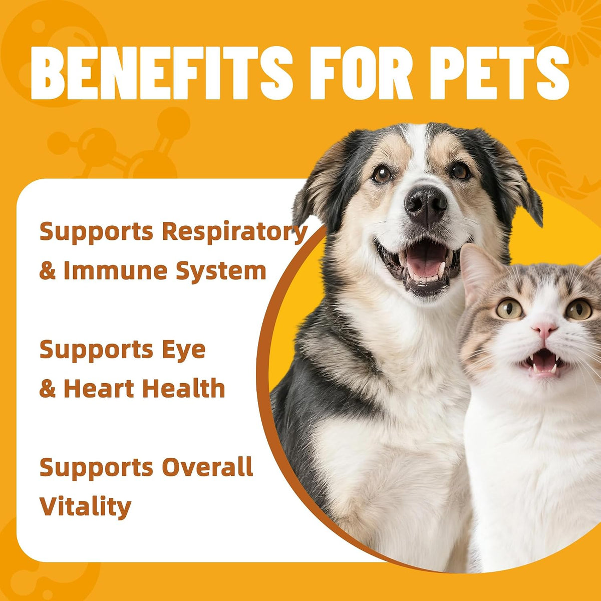 Premium imported USA cat respiratory health supplement jar