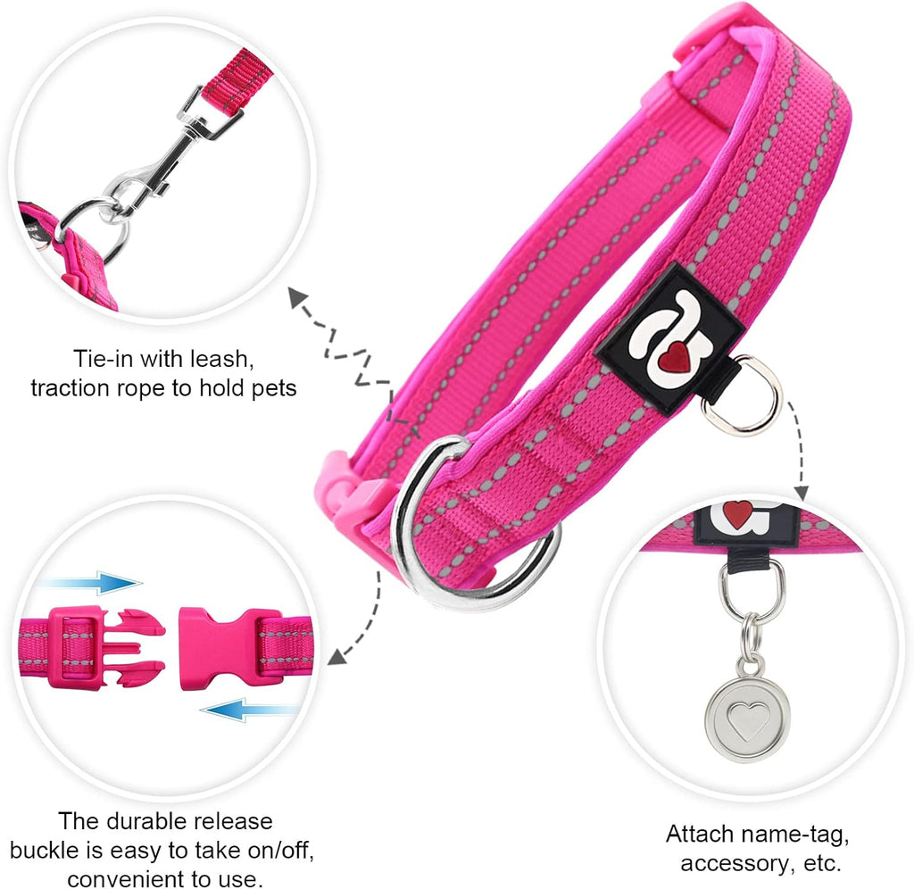 Soft neoprene padding detail on Azuza pet collar