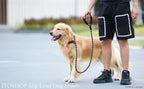 iYoShop imported durable dog leash packaging details and material construction overview