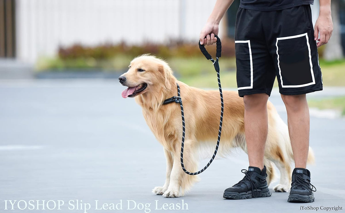 iYoShop imported durable dog leash packaging details and material construction overview