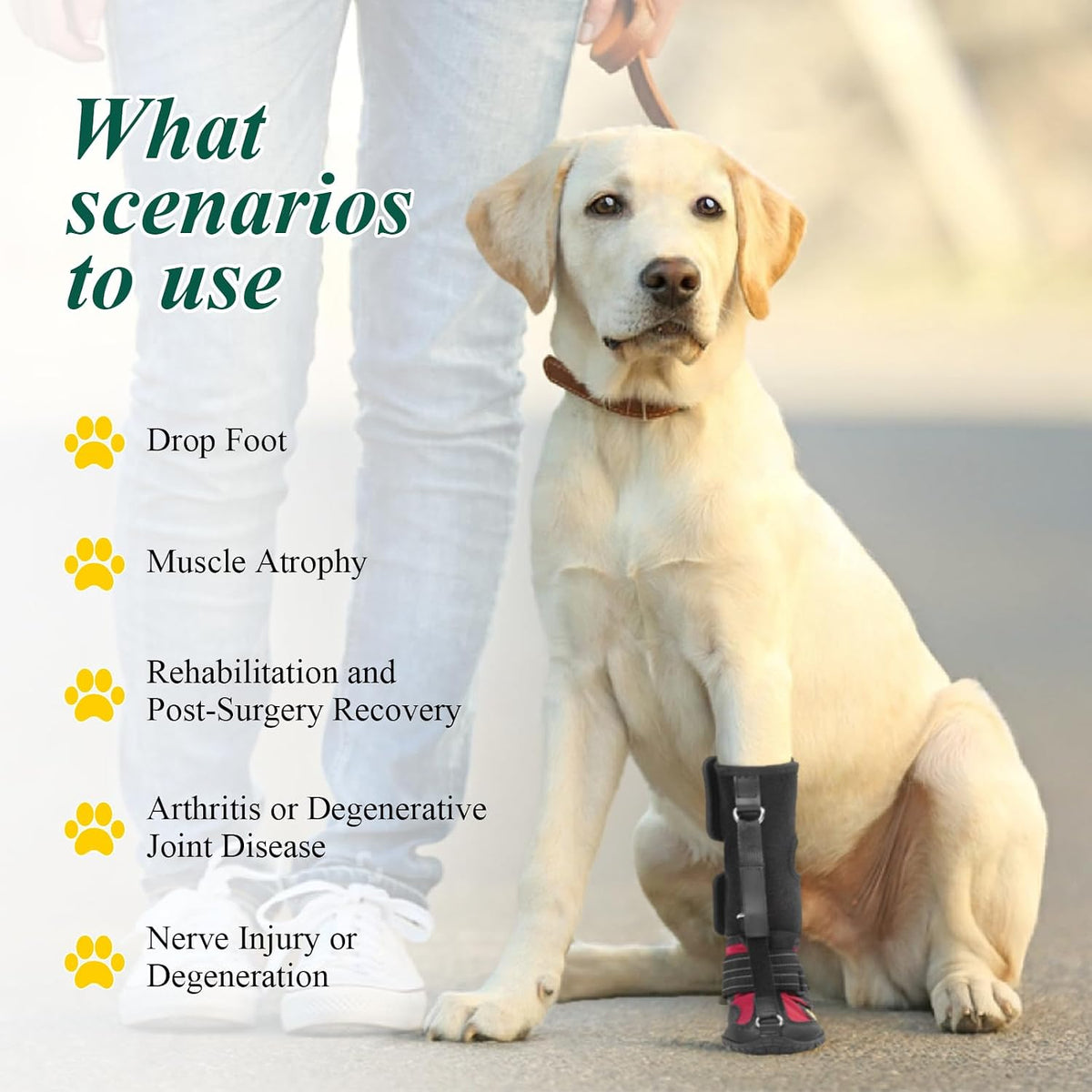Side profile of Haggemi dog brace for arthritis support