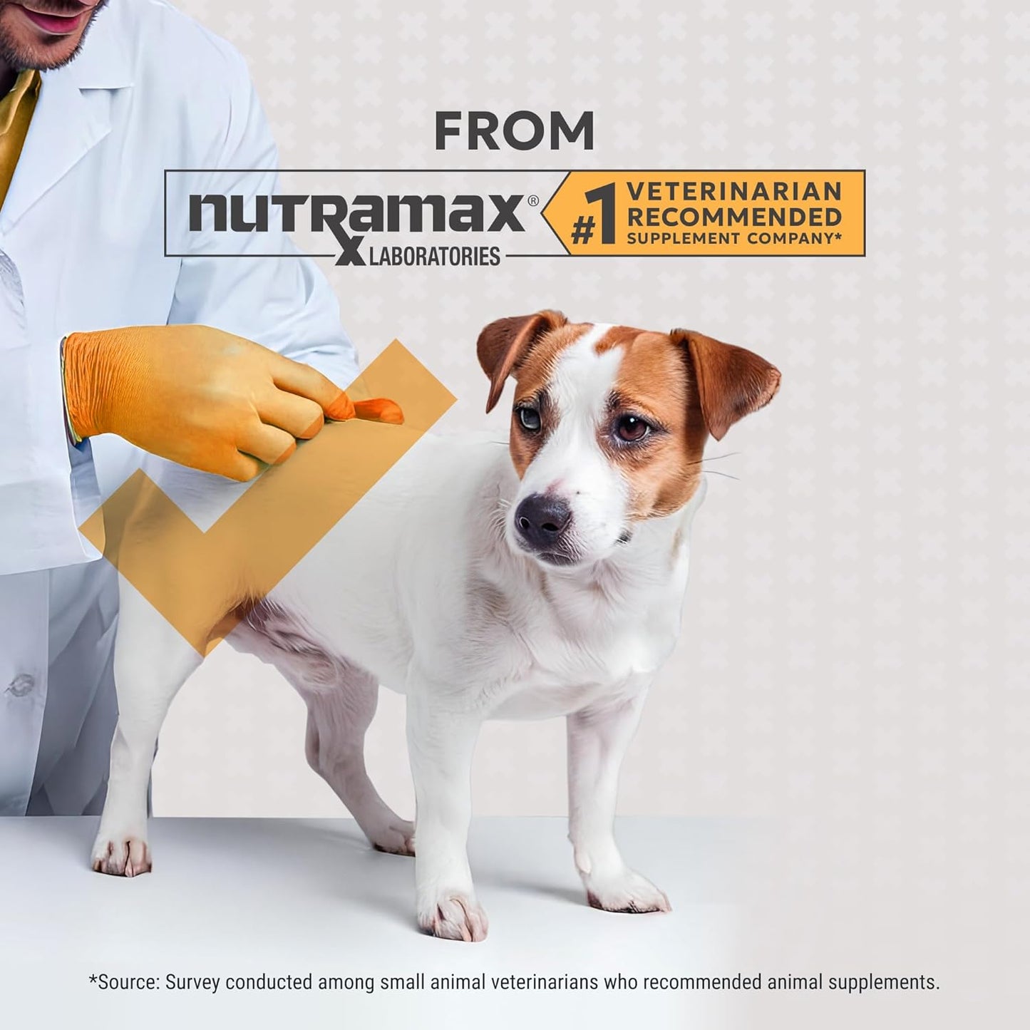Filaquin anal gland support supplement for dogs back label