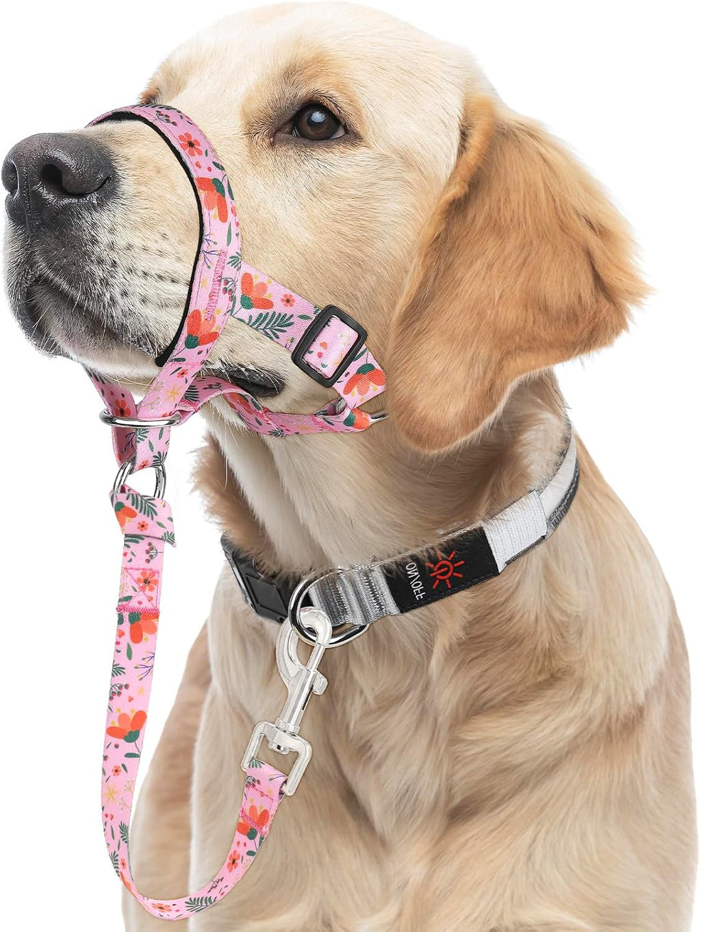 Higo Green Floral Headcollar unboxed flat lay product layout