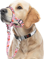 Higo Green Floral Headcollar unboxed flat lay product layout