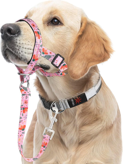 Higo Green Floral Headcollar unboxed flat lay product layout