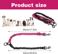 Molain dual dog splitter leash with shock absorbing bungee section extended for safety.