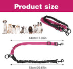 Molain dual dog splitter leash with shock absorbing bungee section extended for safety.