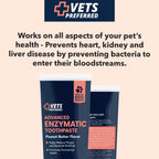Veterinarian grade enzymatic toothpaste for canine oral care
