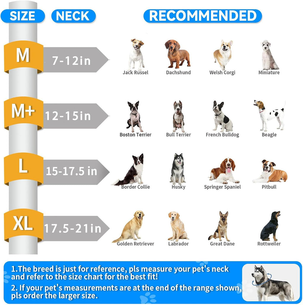Comfortable blow up pet donut collar for dogs and cats