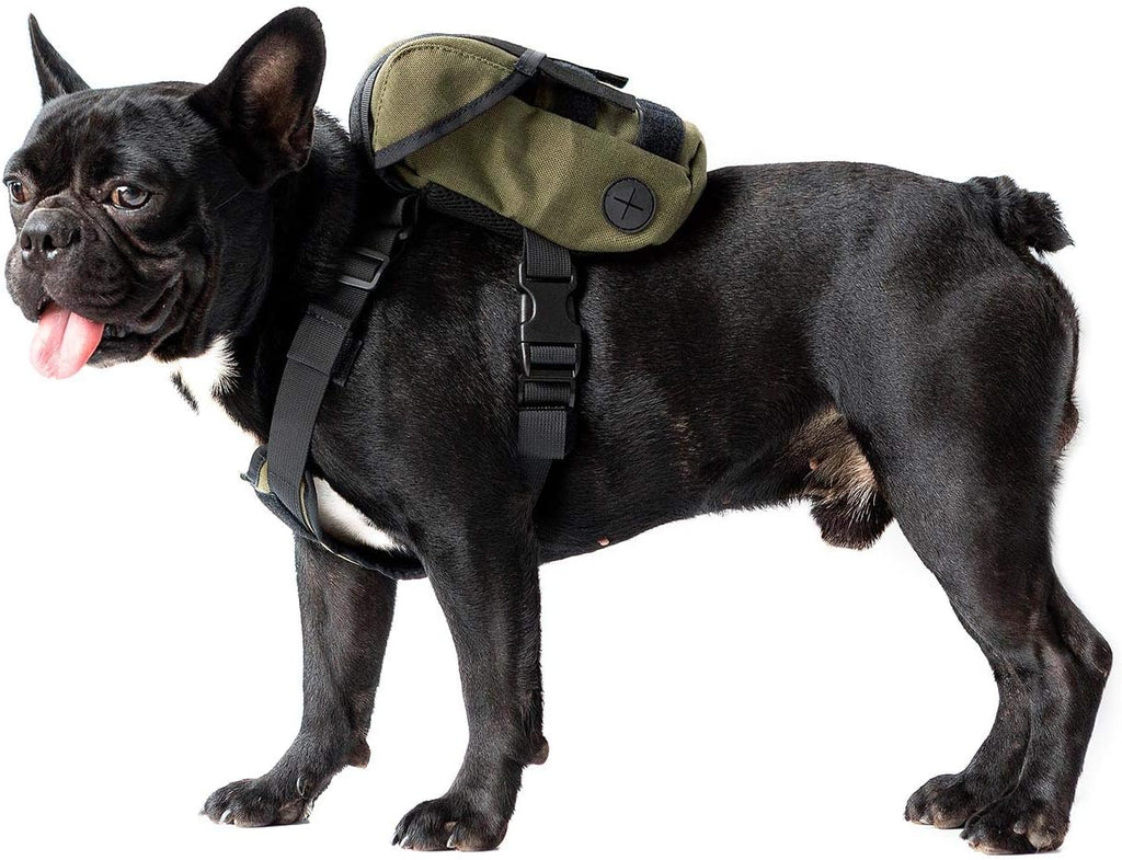 Rear view of the small dog tactical pack with the double layered hook and loop backpack cover open