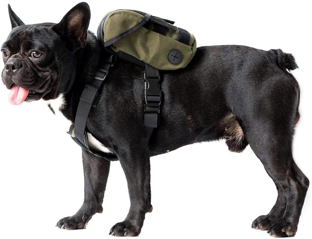 Rear view of the small dog tactical pack with the double layered hook and loop backpack cover open