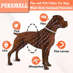 Two adjustable waterproof flea collars for dogs